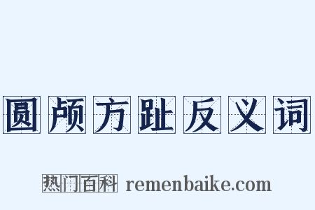 圆颅方趾反义词是什么意思的图片
